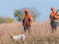 North Texas Quail Hunting