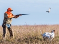 Texas Pheasant Hunts
