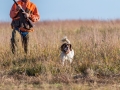 Dallas Ft. Worth Upland Bird Hunt