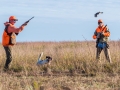 Quail Hunting Texas