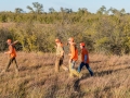 Texas Pheasant Hunts
