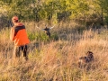 North Texas Upland Bird