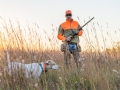 Quail Hunting Texas