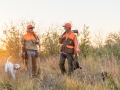 North Texas Quail Hunting