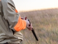 North Texas Upland Bird